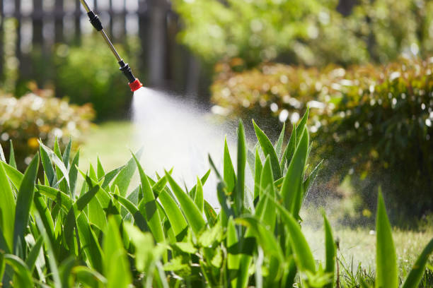24/7 Emergency Cockroach Control experts in Port St. John, FL