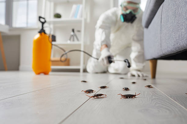 Trusted Termite Control service in Port St. John, FL - Nex Pest Control
