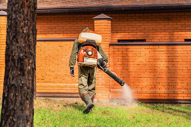 Trusted Fumigation Services service in Port St. John, FL - Nex Pest Control